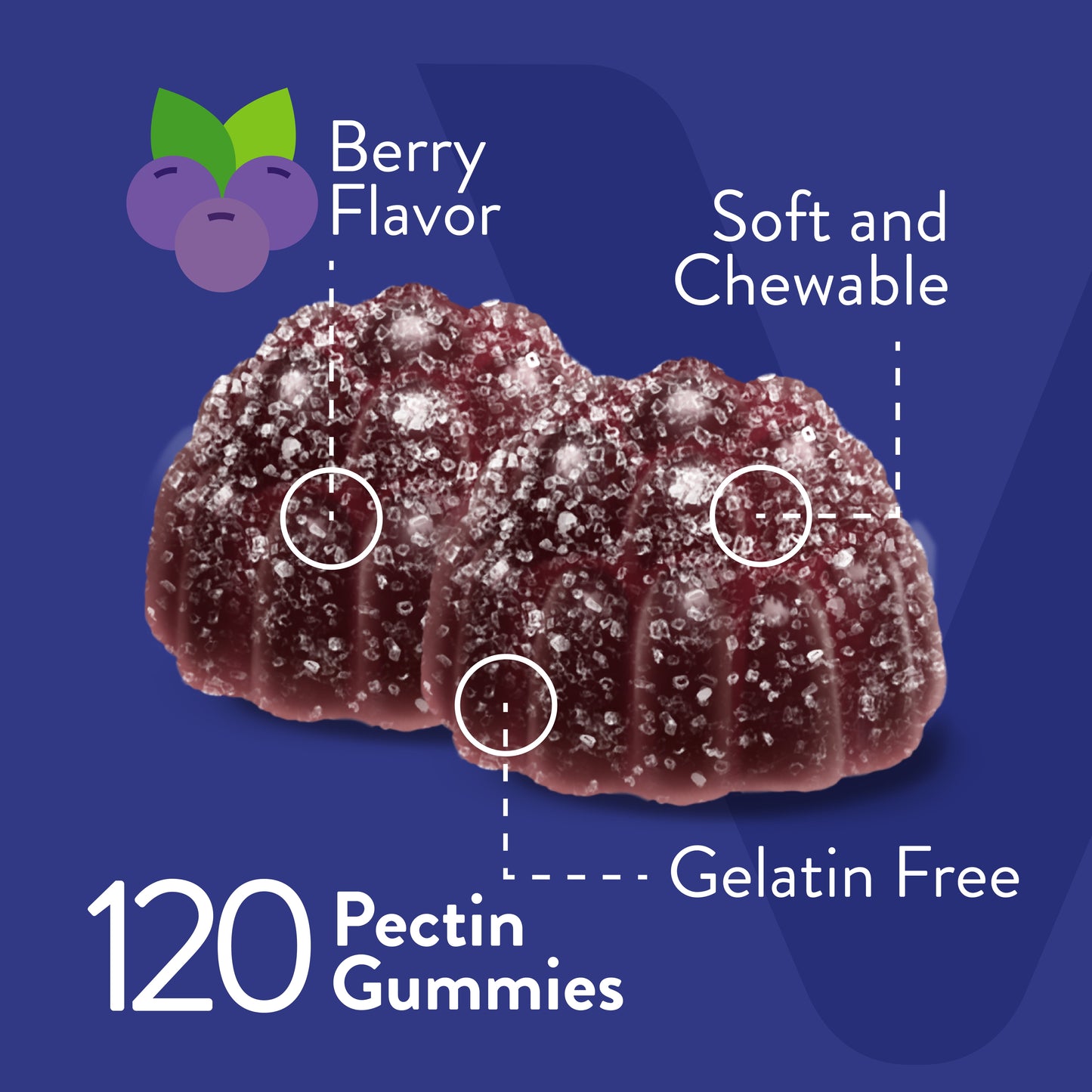 Ashwagandha Gummies, Stress Support, Berry Flavor, 60 Count, 2 Pack