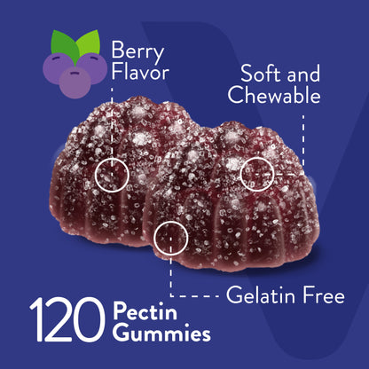 Ashwagandha Gummies, Stress Support, Berry Flavor, 60 Count, 2 Pack