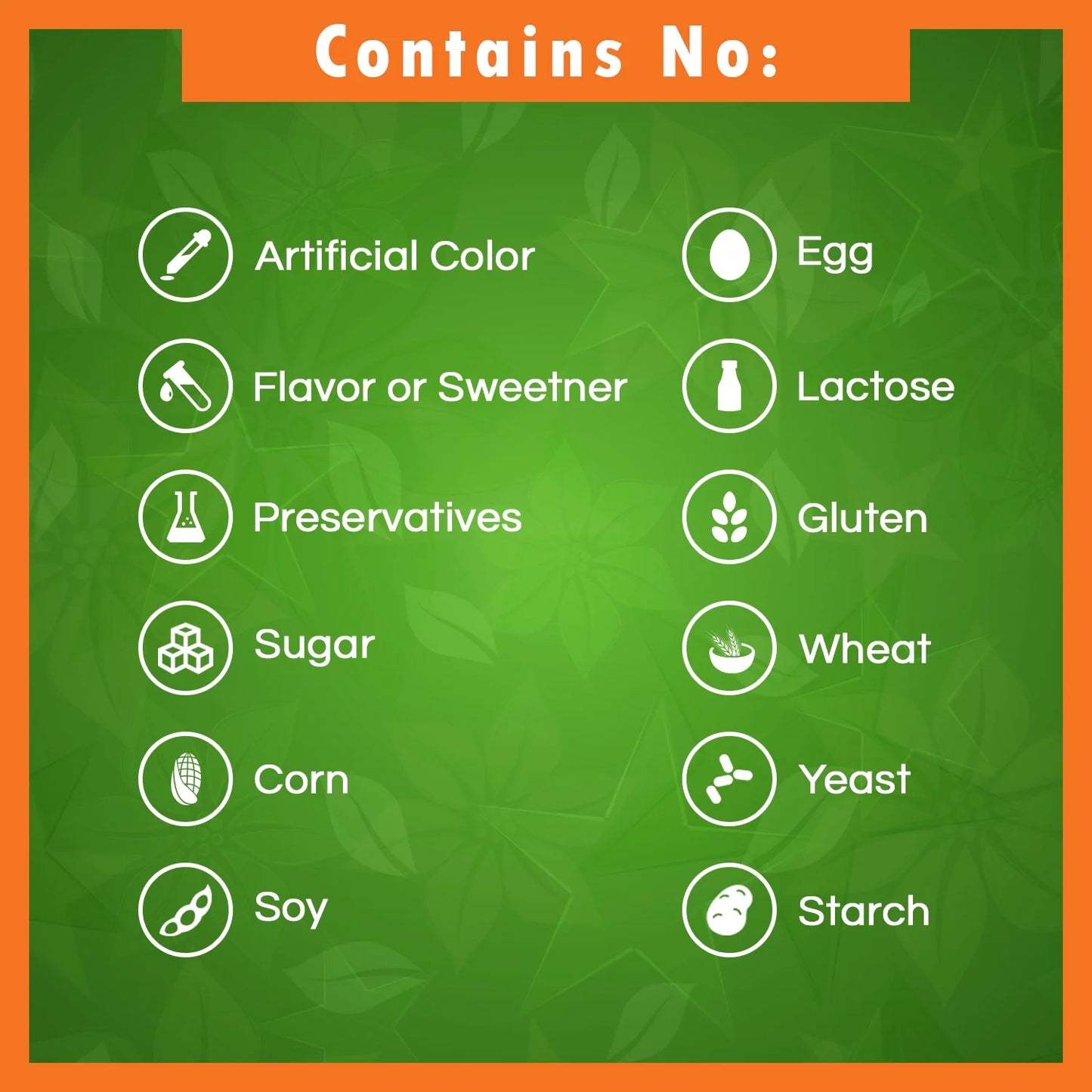 2 Pack  Broccoli Sprouts Extract 1000 Mg 120 Capsules