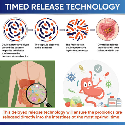 (3 Pack) Probiotics for Women and Men, with Prebiotics and Digestive Enzymes,Digestive & Gut Health by GPGP