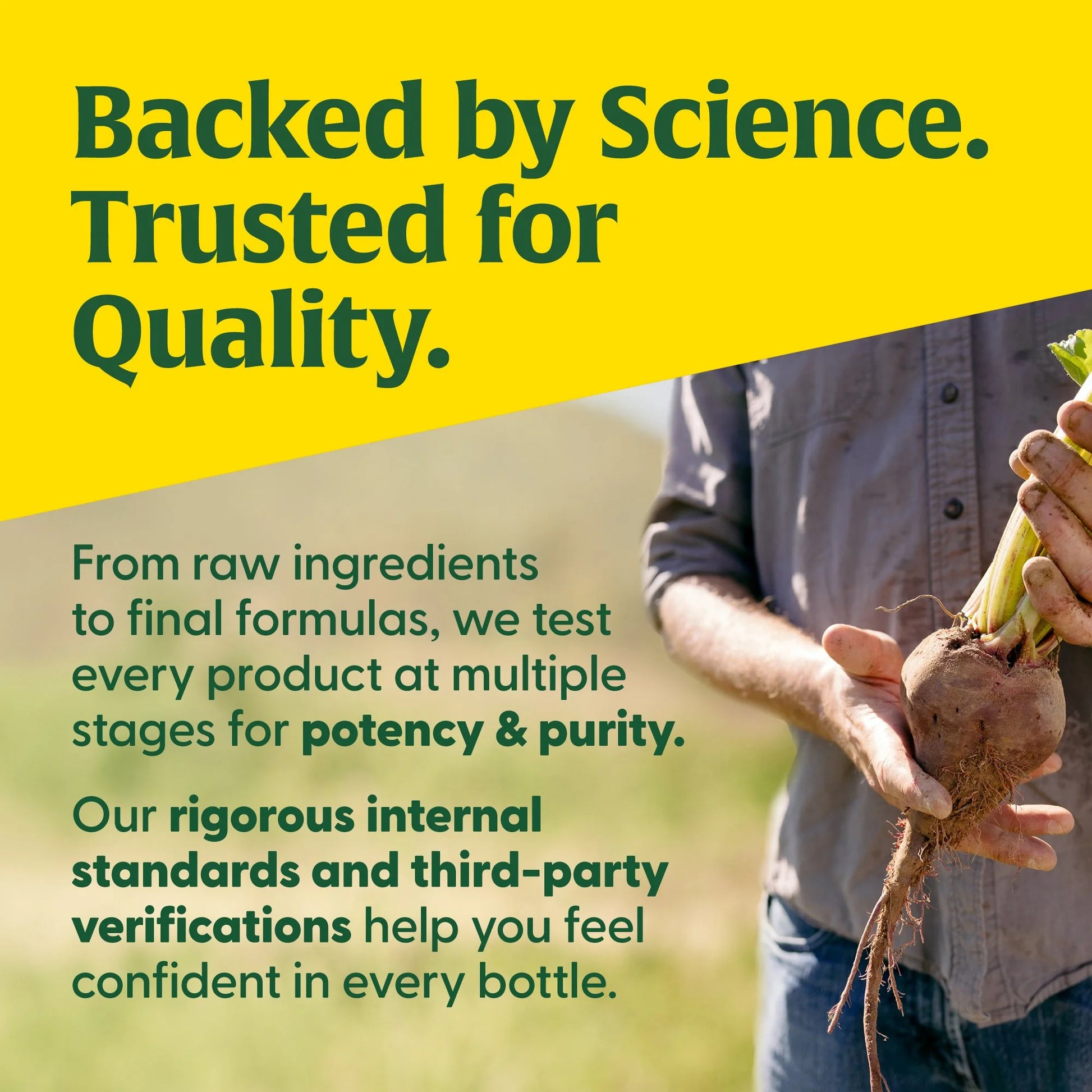 Magnesium 300 Mg - Glycinate, Citrate, Malate - Heart, Nerve Health - 30 Servings